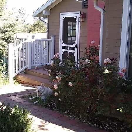 Blue Bird Cottage - Pet Friendly Julian Εξωτερικό φωτογραφία