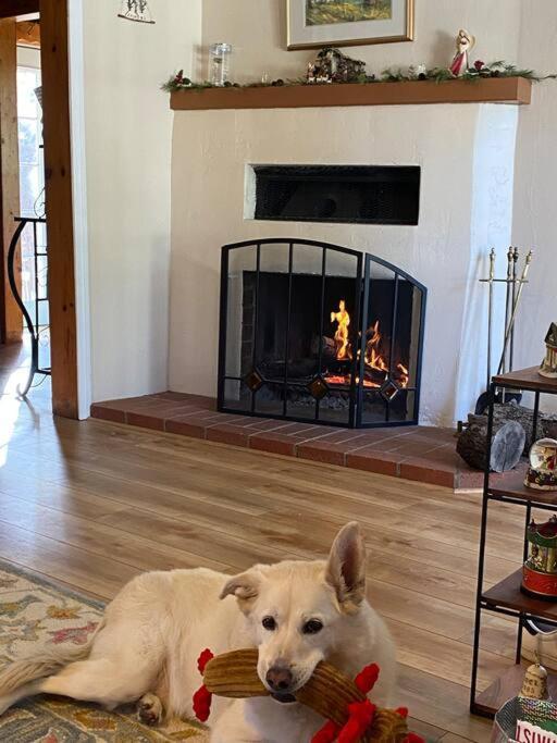 Blue Bird Cottage - Pet Friendly Julian Εξωτερικό φωτογραφία