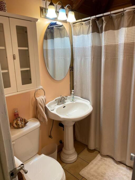 Blue Bird Cottage - Pet Friendly Julian Εξωτερικό φωτογραφία