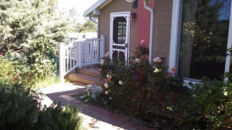 Blue Bird Cottage - Pet Friendly Julian Εξωτερικό φωτογραφία